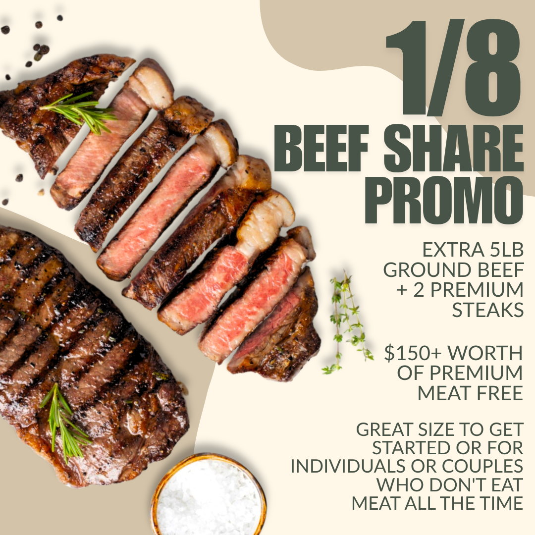 1/8 Beef *AUGUST/SEPTEMBER FULFILLMENT*